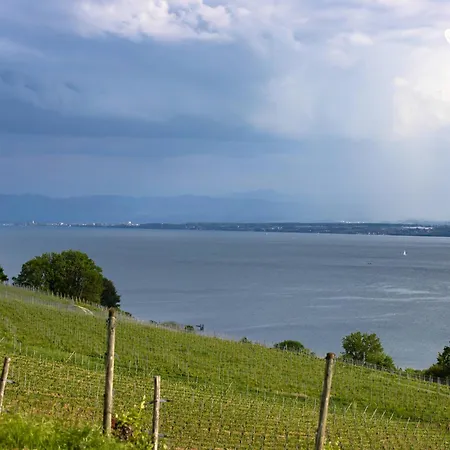Apartment Seeglueck Ufertraum - Stilvolle Direkt Am Seerhein Mit Parkplatz In Zentraler Lage Von